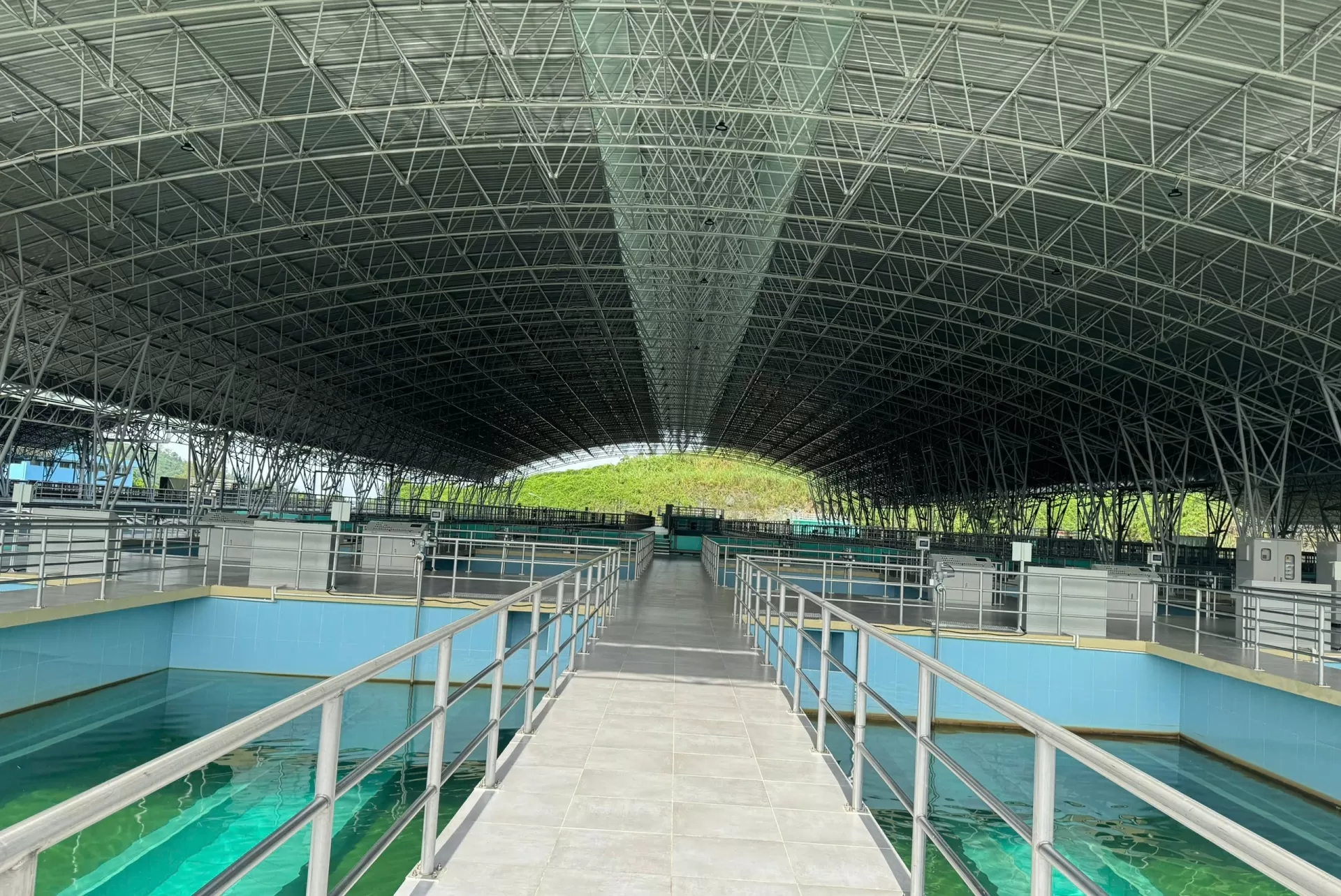 Kế hoạch chi trả cổ tức năm 2025