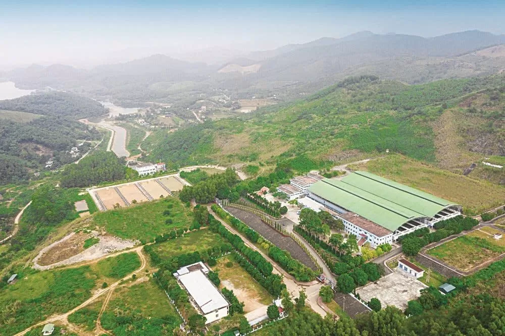 Thông báo về việc chi trả cổ tức năm 2025