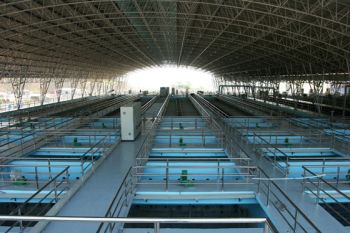 Sơ đồ tổ chức Công ty